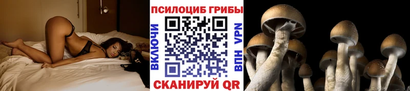 kraken ссылки  Томилино  Галлюциногенные грибы мицелий 